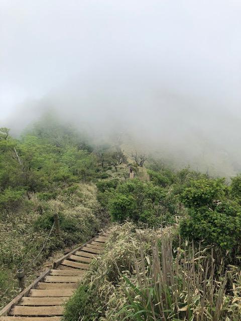 image1.jpeg