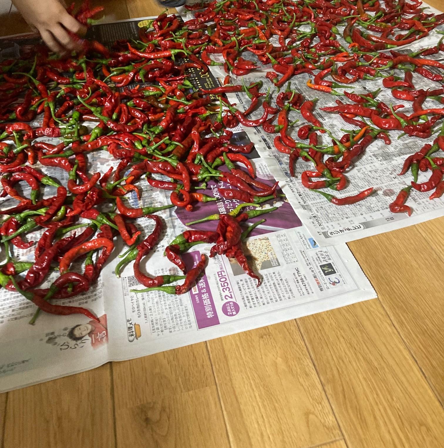 ブログ10.30 - コピー.jpg