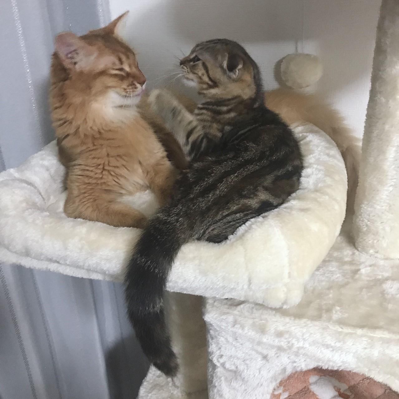 thumbnail_Image (1).jpg